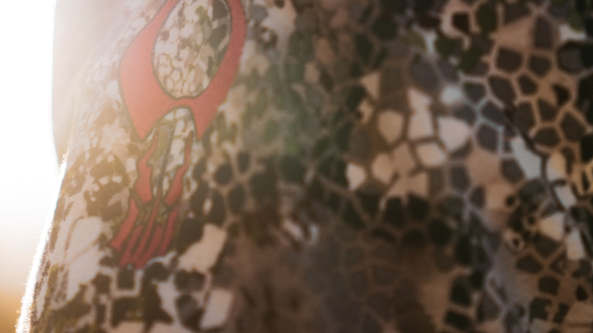 Get Started on Your 2020 Hunts Today