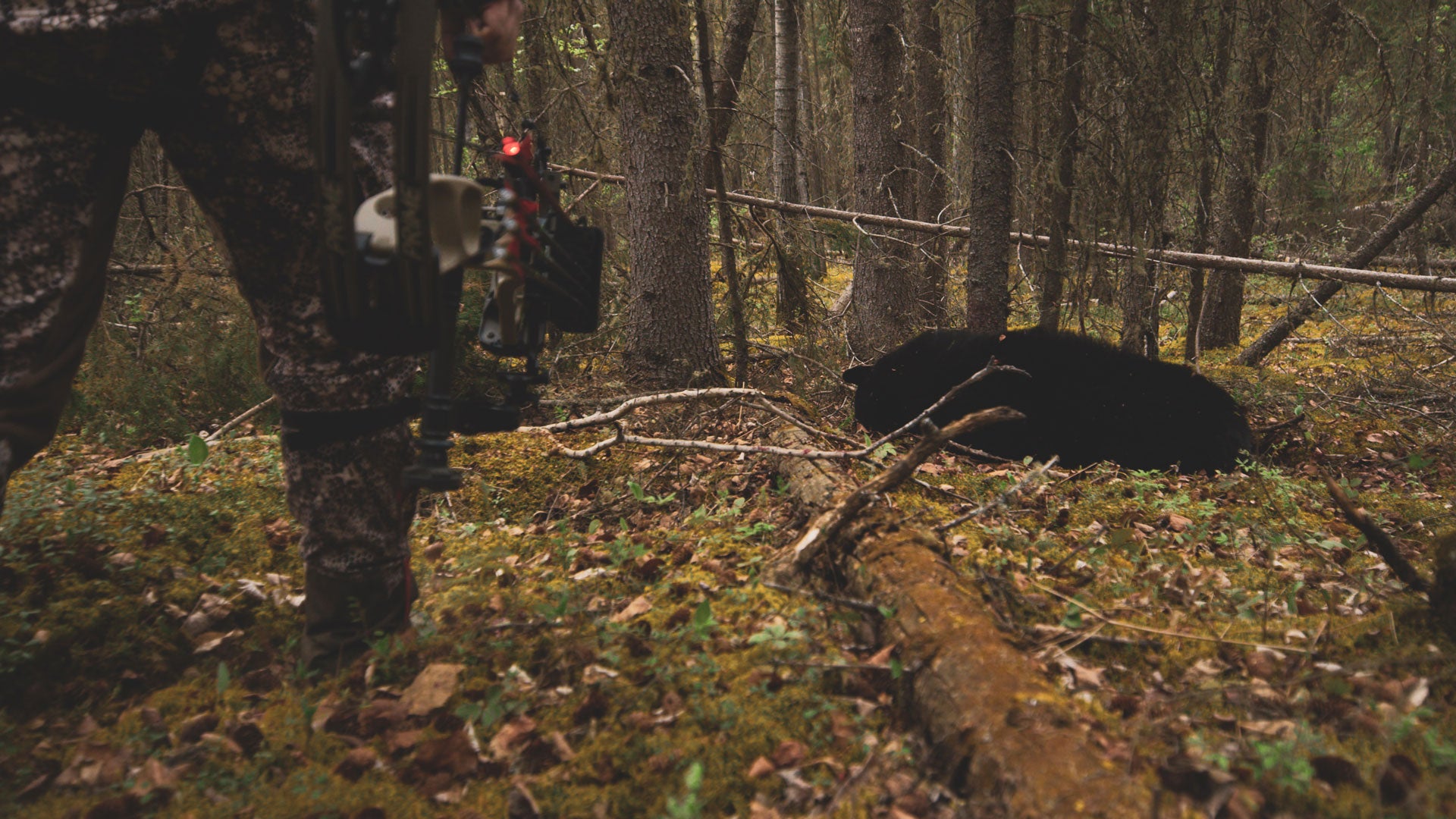 Moonrivers Pro Staff Offers Up Alternatives When Your Tag Draw Goes Bad