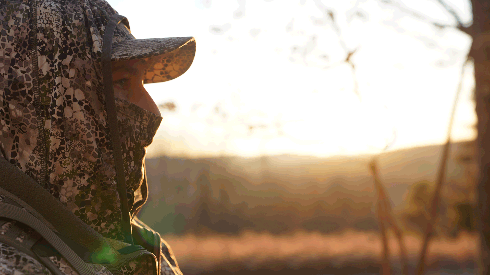 Yip Yip Hooray For Coyote Hunting