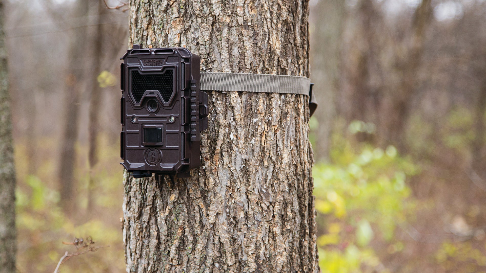 Keep Your Game Camera Safe This Season