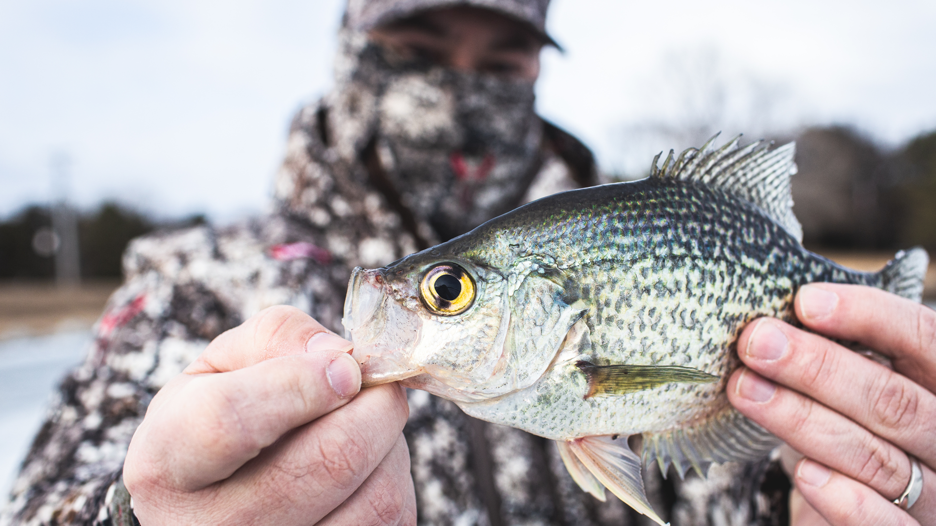 Moonrivers Goes Fishing for Science