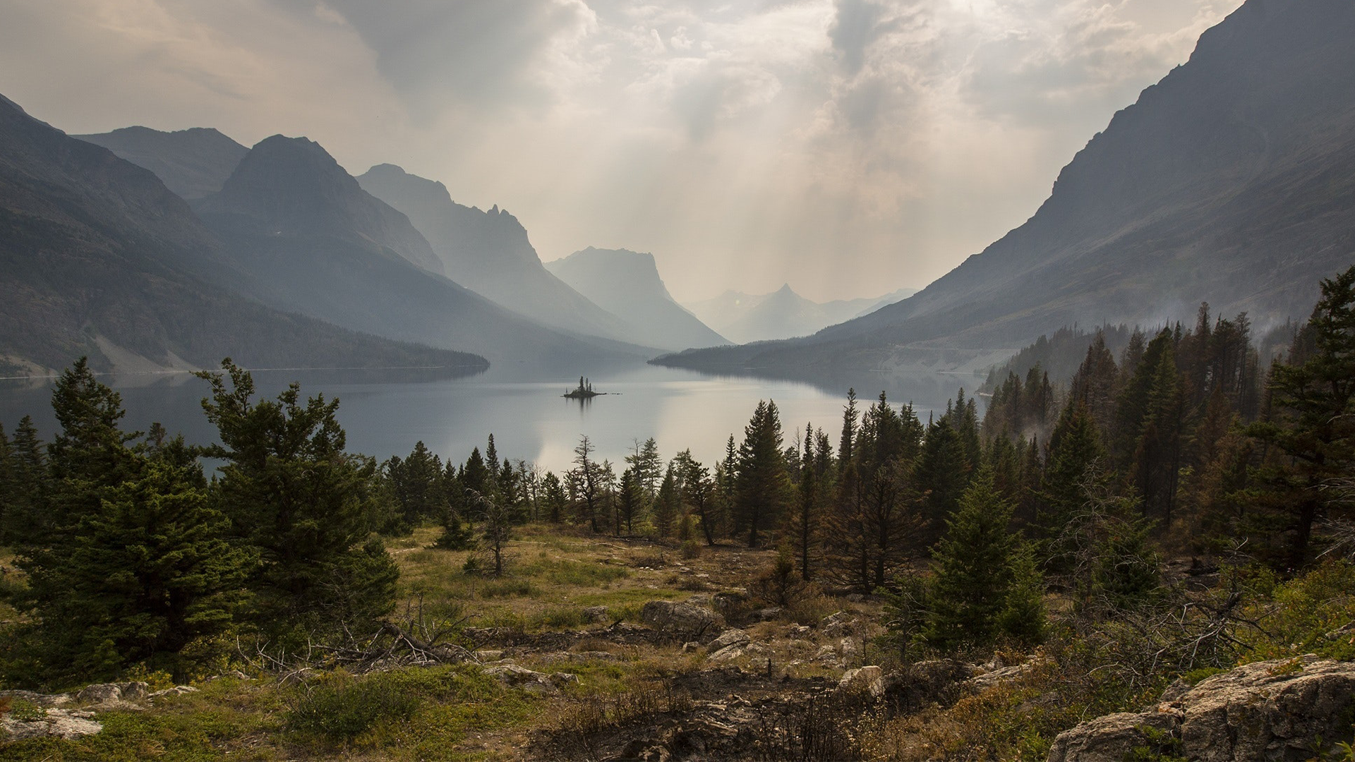 Have Faith, Spring is Just Around the Corner