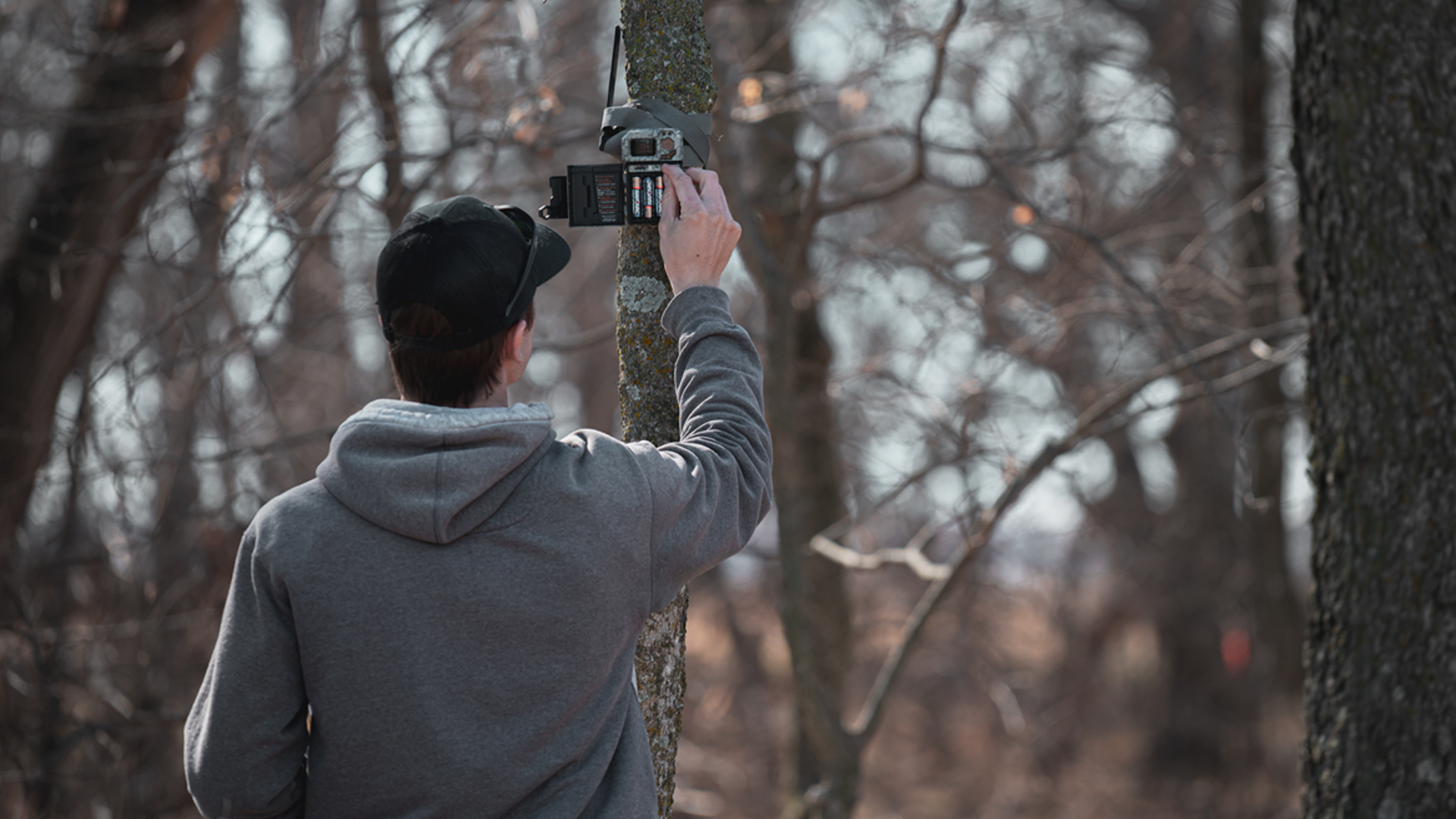 Tis’ the Season to Check in on Your Game Cameras