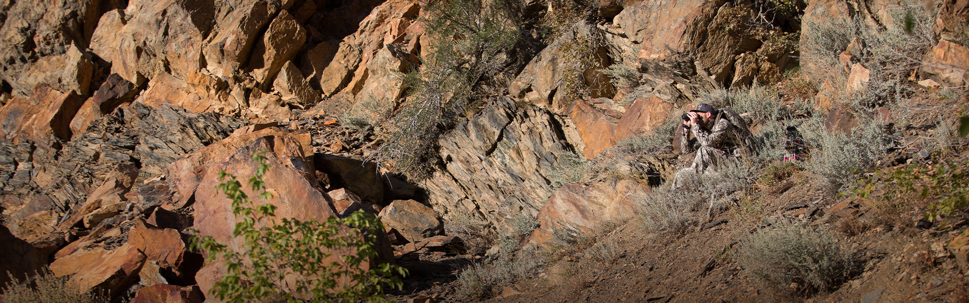 Tech Talk: A Close Look at Camouflage