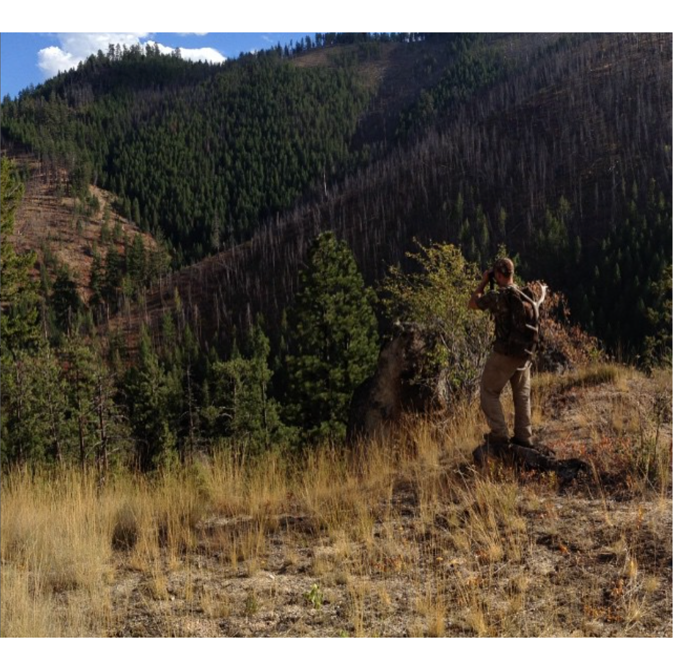 The True Measure of a Successful Hunt