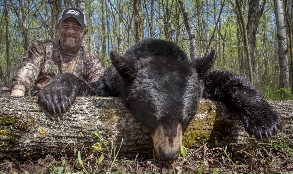 Bears and Bears and Bears….Oh my! Moonrivers Packs Enter Bear Country