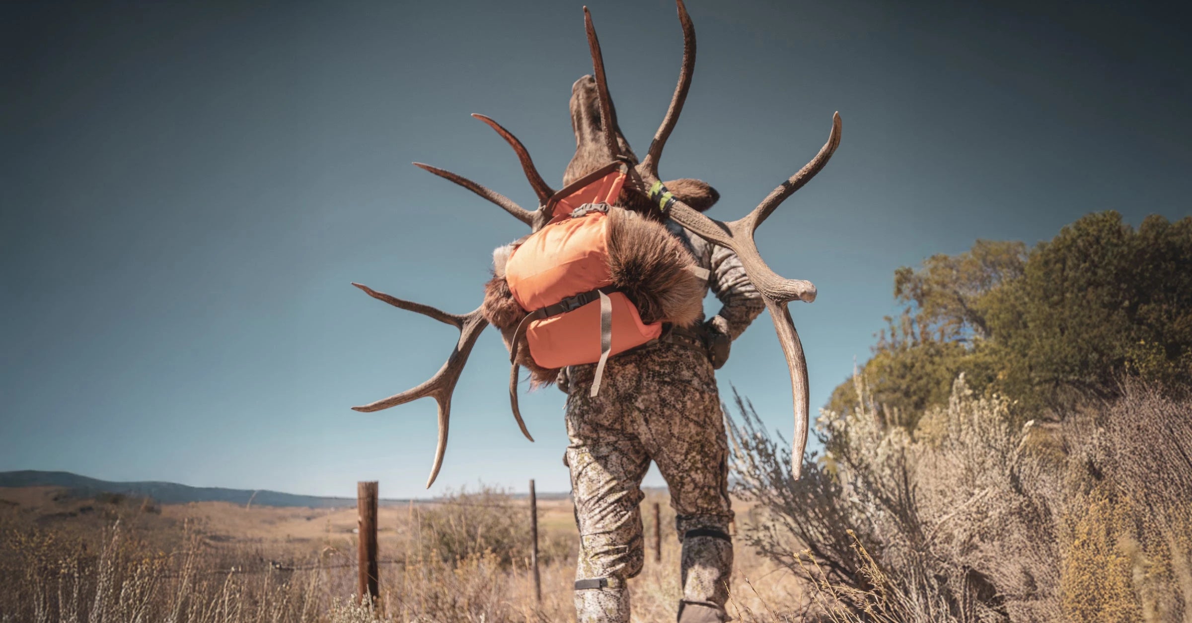 Vario System Special Offer