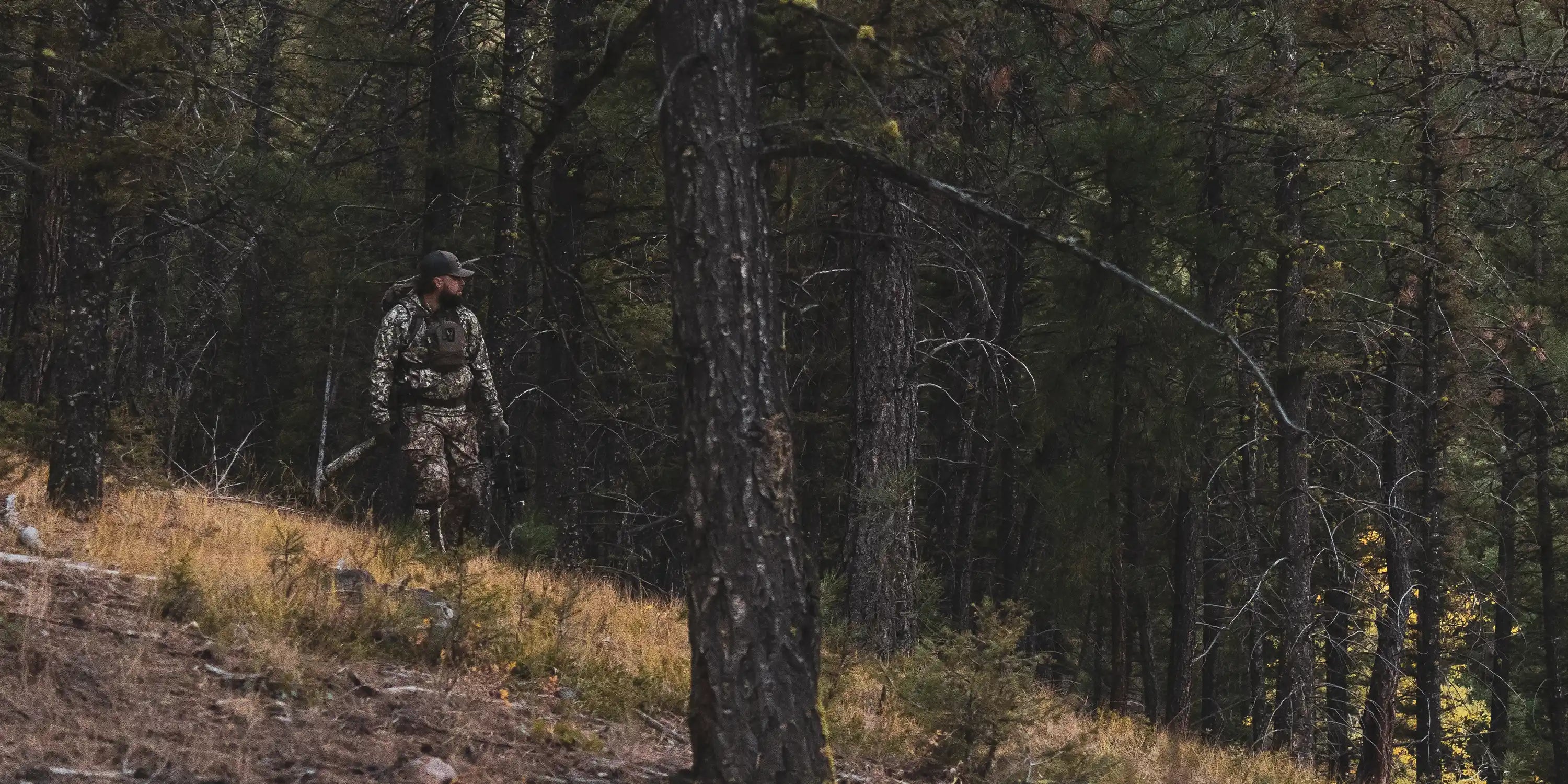 Hunter in Moonrivers camo gear walks through a dense forest, blending into the trees and undergrowth.